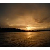 Mary Crowe's photo