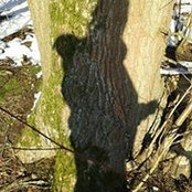 Anke Engelhardt's photo