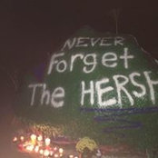 Jeff Hersh's photo