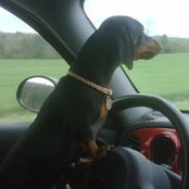 Carolsue Cabe's photo