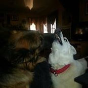 Heidi Schuster's photo
