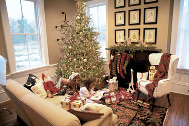 Example of a classic living room design in Minneapolis
