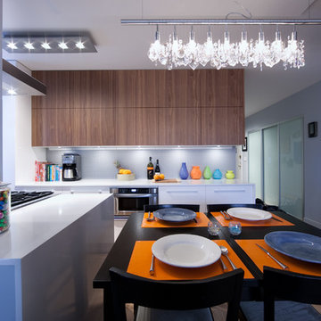 Contemporary Kitchen Cabinets, New York