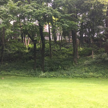 Granada backyard