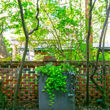 Downtown Renovation - Charleston