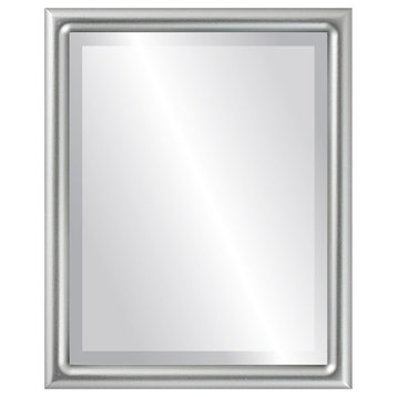 Pasadena Framed Rectangle Mirror, Silver Spray, 17"x21"