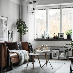 Trend - Curtains