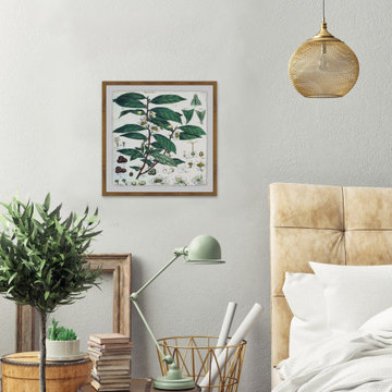 "Green Tea II" Framed Painting Print