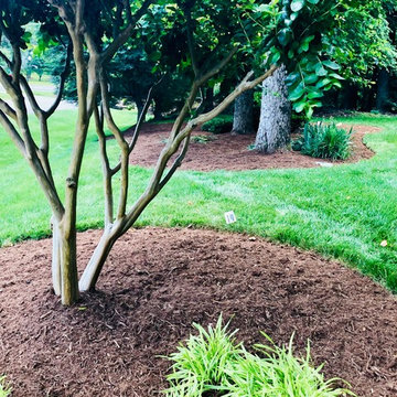 Mulching,pruning,sod, river rock, stepping stone installs