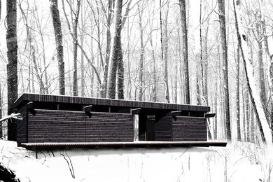 Wood Wood House