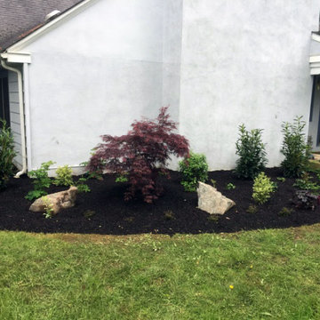 Planting Side & Front Gardens With a Stepping Stone Path