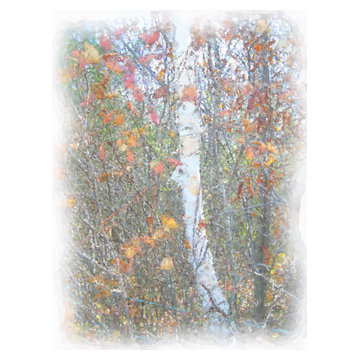 Original Paintings, Giclees, Photography, Kaleidoscopes, Digital Prints