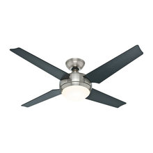 fans