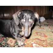 Tammy Smith's photo
