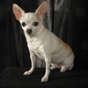 Ana Perera Jones's photo