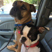 Nancy Young's photo