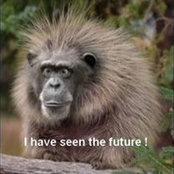 Ana Matei's photo