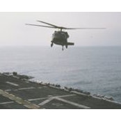 Max ALex Fequiere's photo