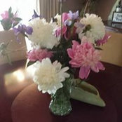Lori Brann's photo