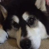 Shelly Klausing's photo