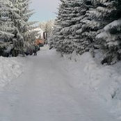 Doru Doru's photo