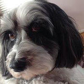Freddie McGoldrick's photo