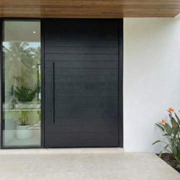 Premium Pivot Entry with Black Finish and Enhanced Security