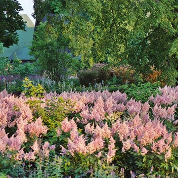 Deer Resistant Landscapes