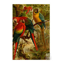 foyer prints