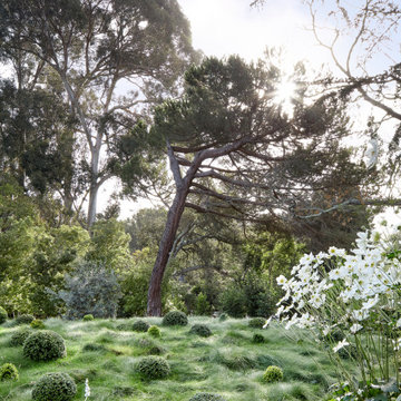 Sylvan Escape