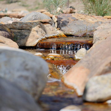 Las Campanas Collaboration