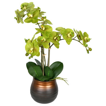 Vickerman FN190502 22" Artificial Potted Touch Green Phalaenopsis Spray