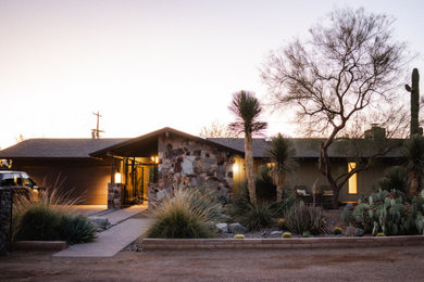 Design ideas for a landscaping in Phoenix.