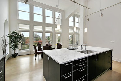 Kitchen - transitional kitchen idea in Boston