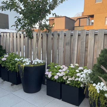 West Village Roof Garden