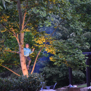 LED Landscape Lighting