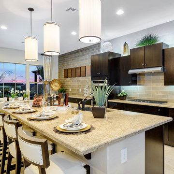 Vallarta @ Verrado | Buckeye, AZ | Luxury Villa 2