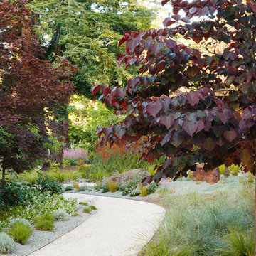 A new garden style for Atherton