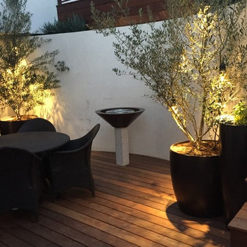 Modern IPE backyard - Santa Monica