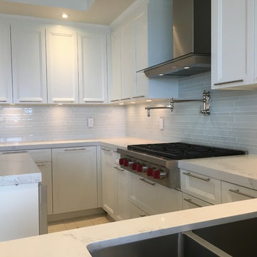 Toronto Contemporary Condo Remodel