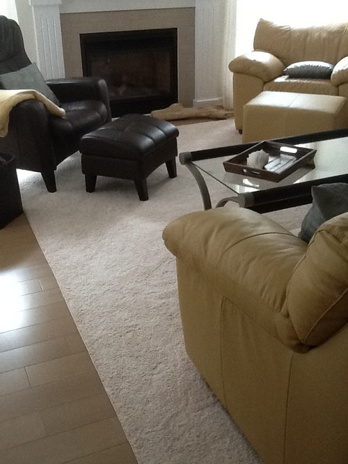 New area rug placement