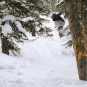 Mike Littrel's photo