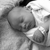 Karl Munsters billede