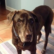 Carrie Gerace's photo