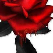 Manal Zarrouk Nasser's photo