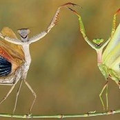 Valerie Behrendt's photo