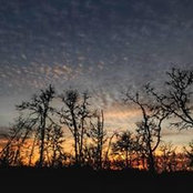 Gary Pierce's photo