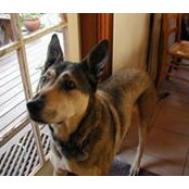 Ursula Schulz's photo