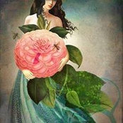 Jess Lohmann's photo