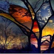 Cindy Backer's photo